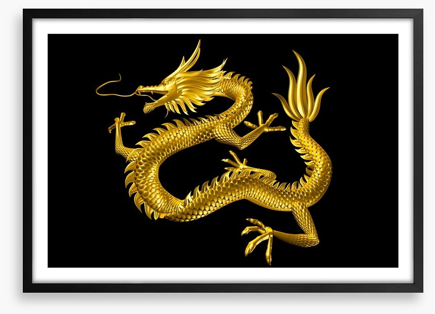 Dragons