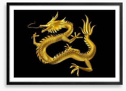 Dragons