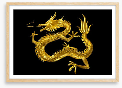 Dragons