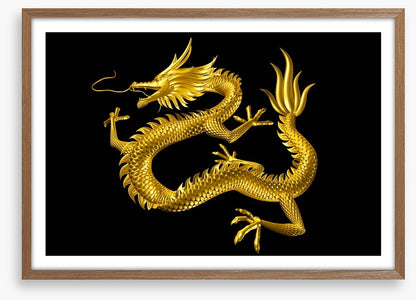 Dragons