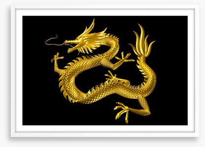 Dragons
