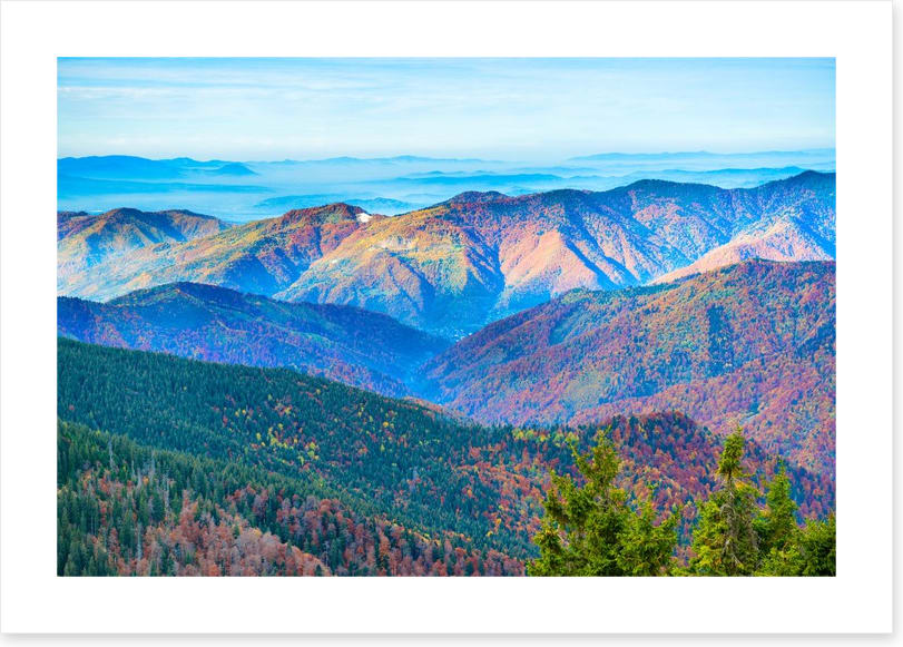 Mountain morning