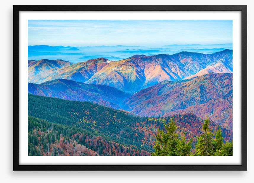 Mountain morning