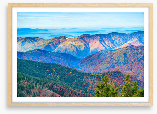 Mountain morning