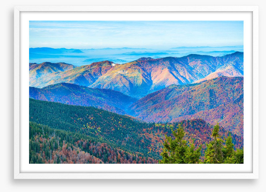 Mountain morning