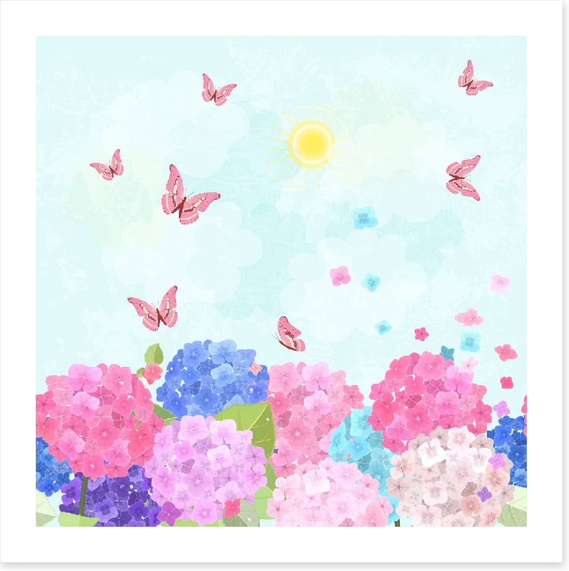 Hydrangea flutter