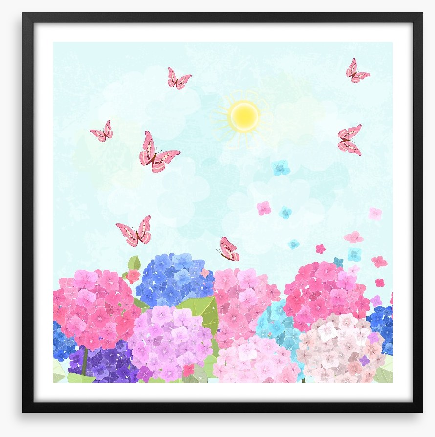 Hydrangea flutter