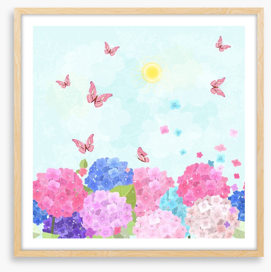 Hydrangea flutter