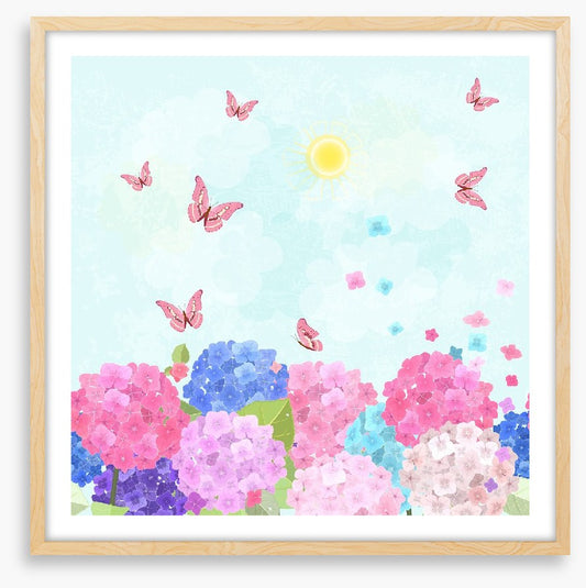 Hydrangea flutter