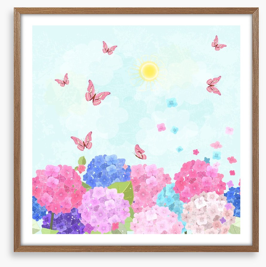 Hydrangea flutter