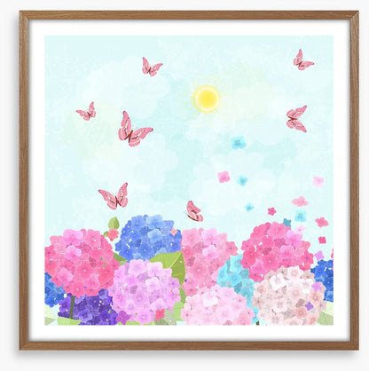 Hydrangea flutter