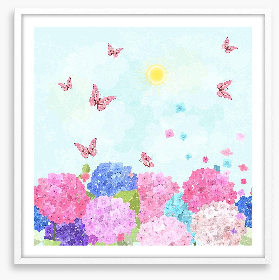 Hydrangea flutter