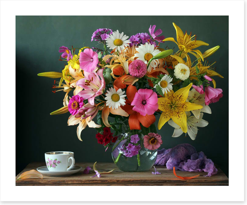 Still Life