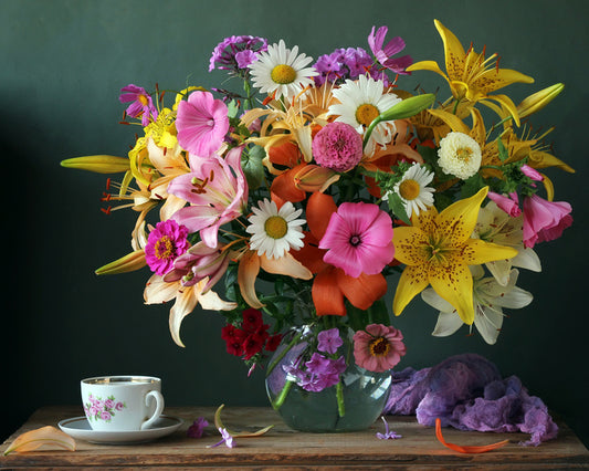 Still Life