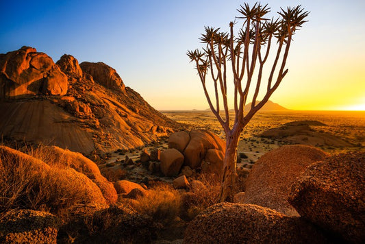 Life in Damaraland