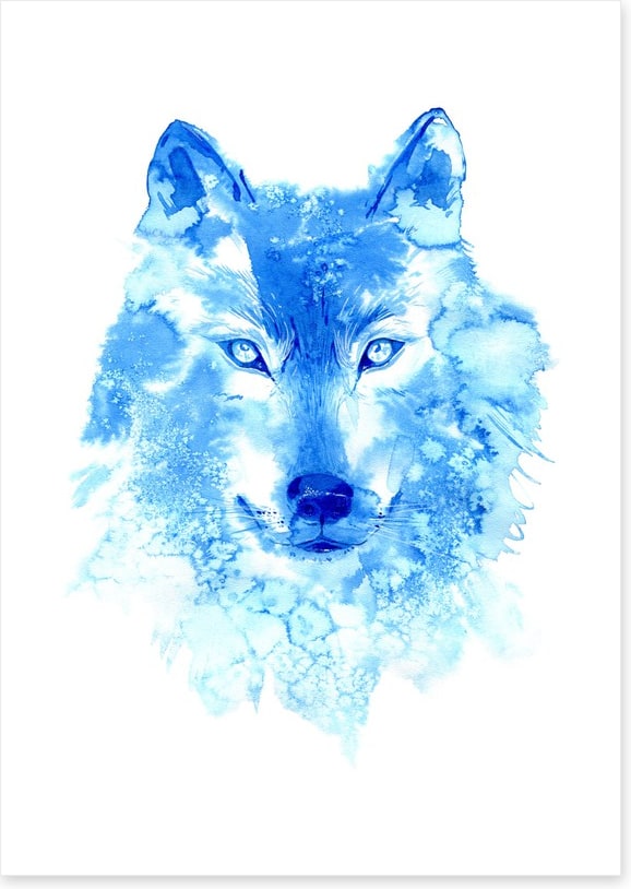 Blue wolf