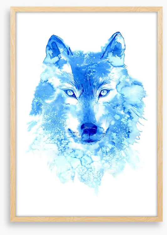 Blue wolf