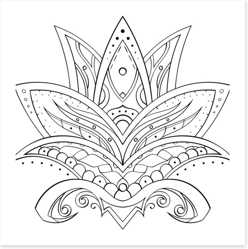 Colour me lotus
