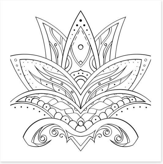 Colour me lotus