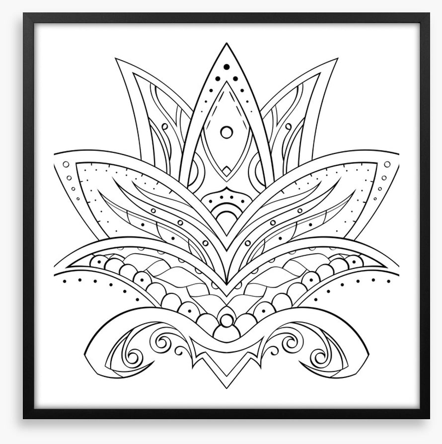 Colour me lotus