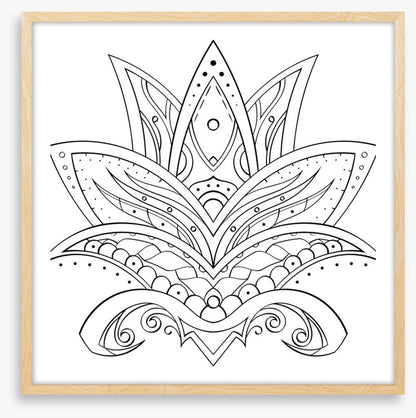 Colour me lotus