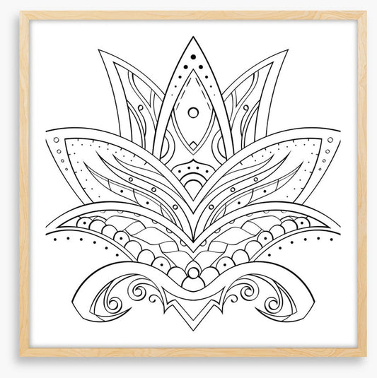 Colour me lotus