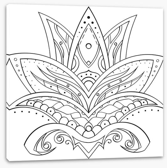 Colour me lotus