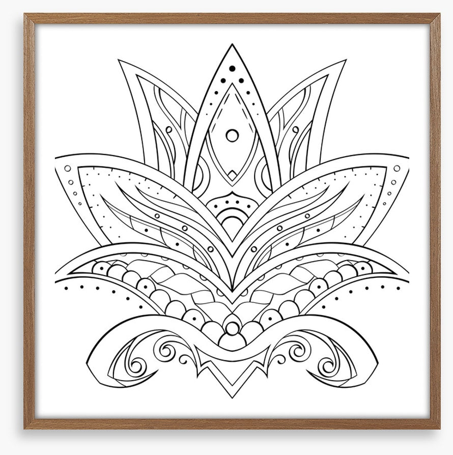 Colour me lotus