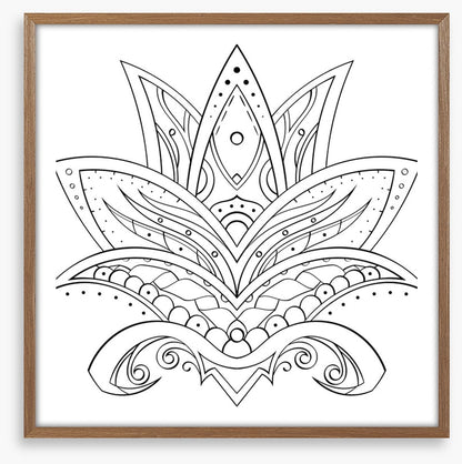 Colour me lotus