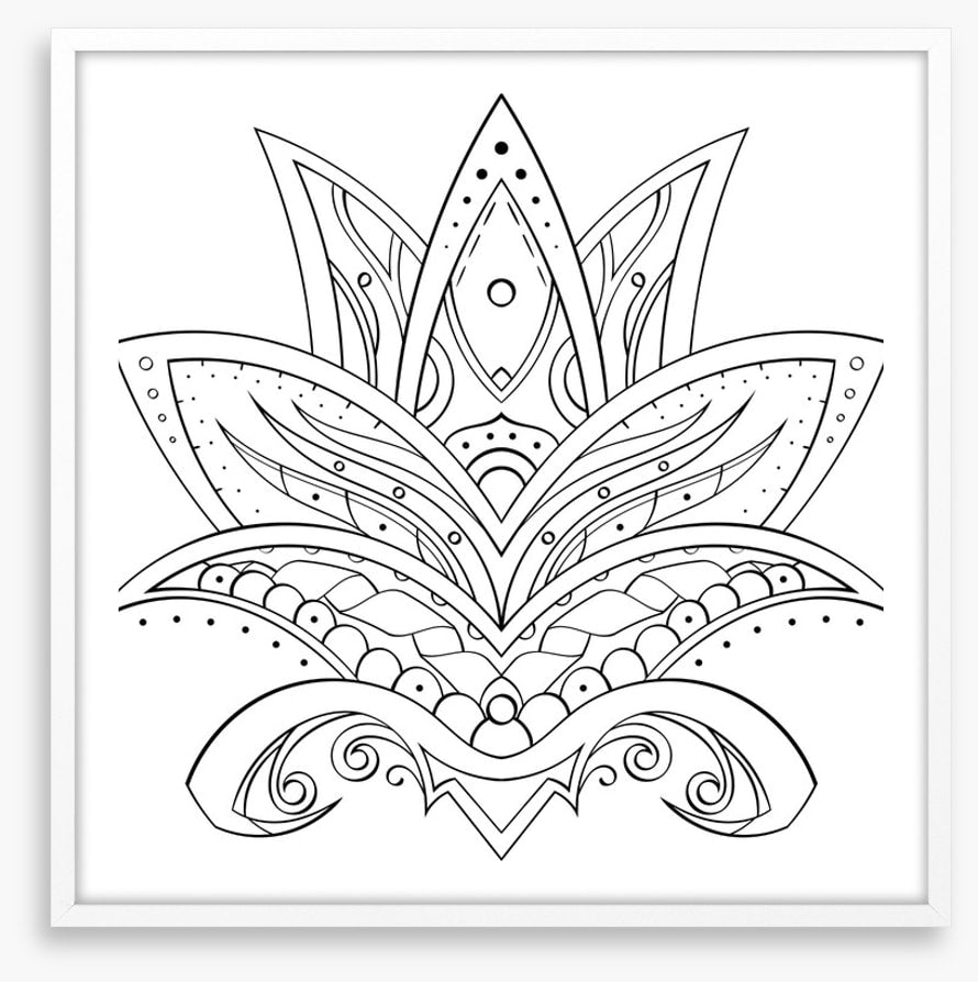 Colour me lotus