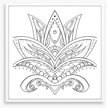 Colour me lotus