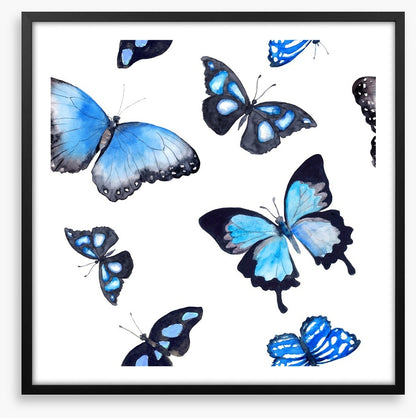 Butterflies of blue