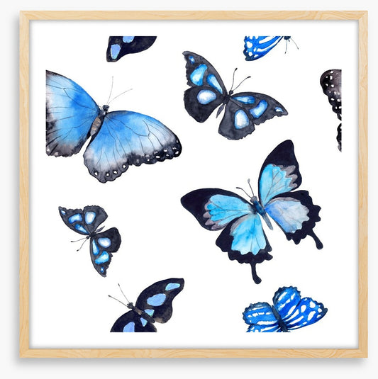 Butterflies of blue
