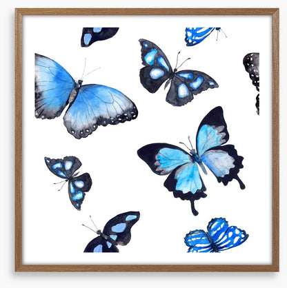Butterflies of blue