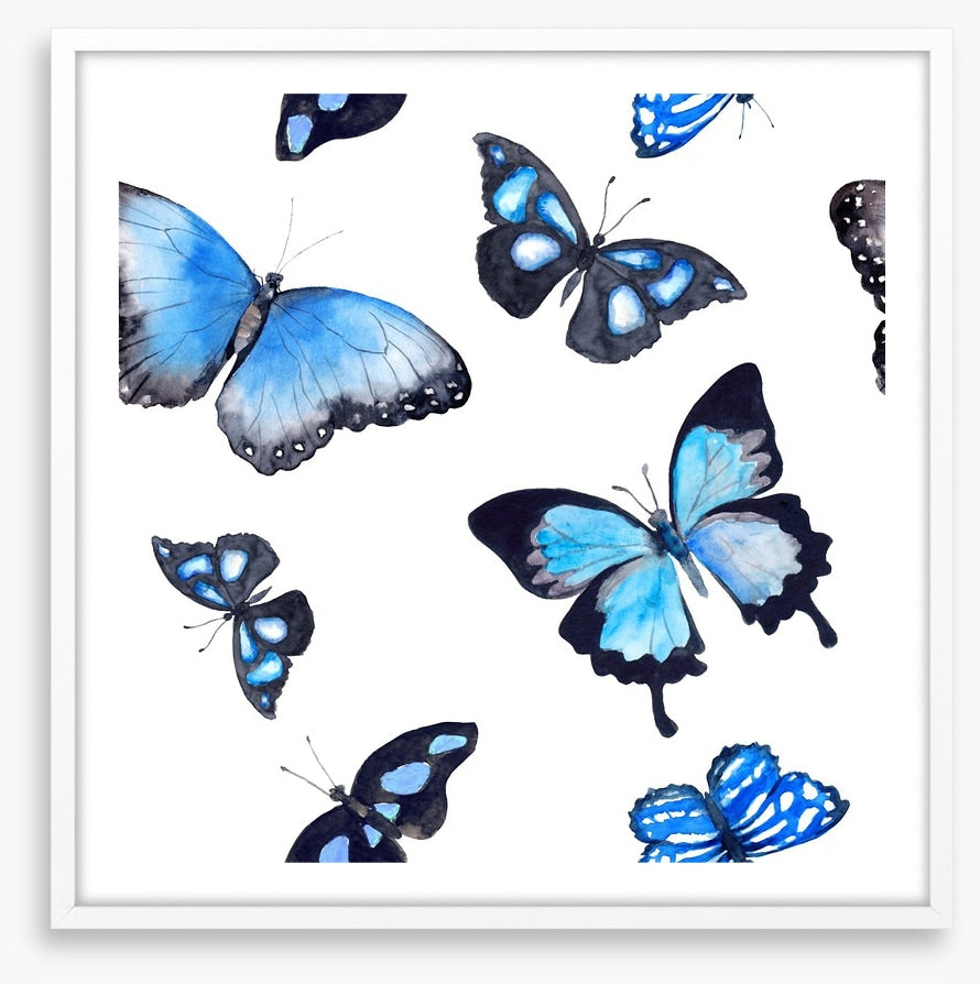 Butterflies of blue