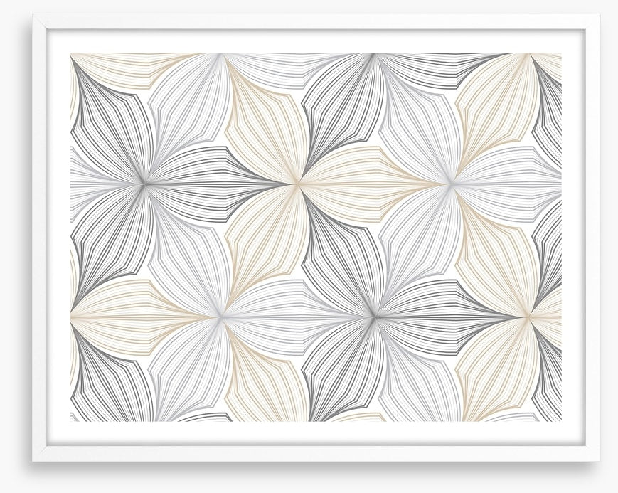 Possibly petals