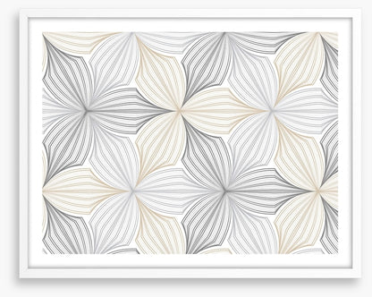 Possibly petals