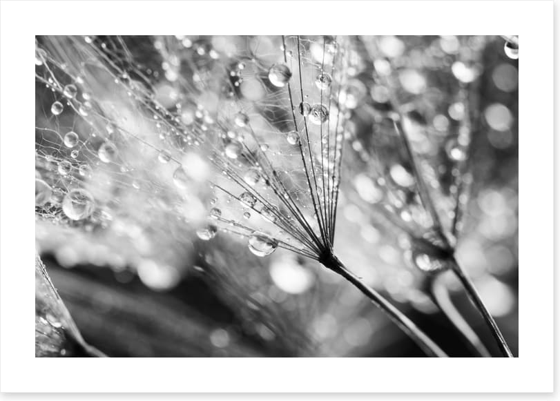 In the raindrops