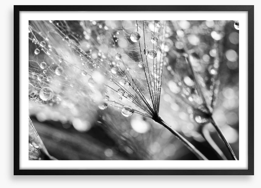 In the raindrops