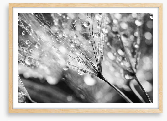 In the raindrops