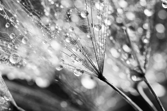 In the raindrops