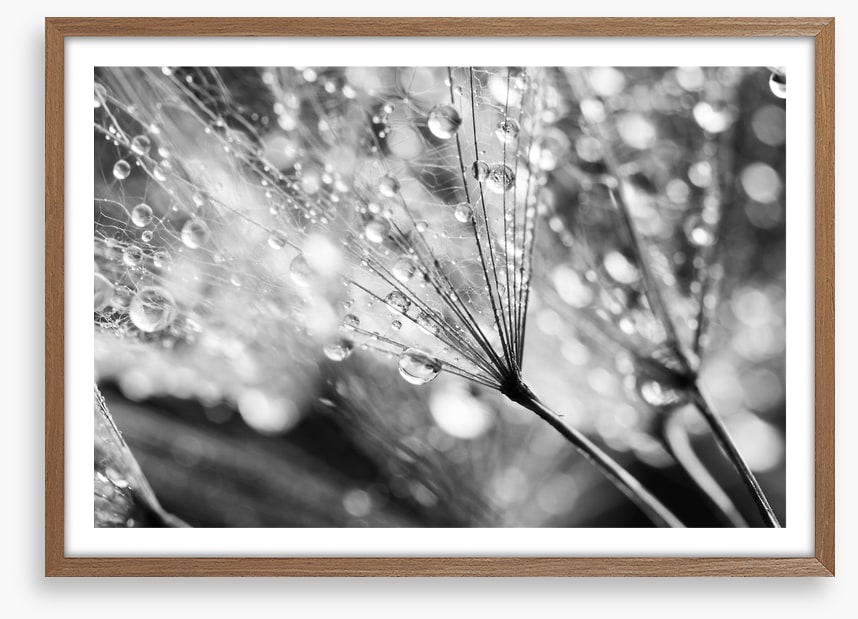 In the raindrops