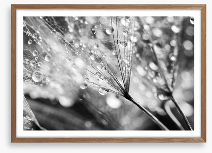 In the raindrops