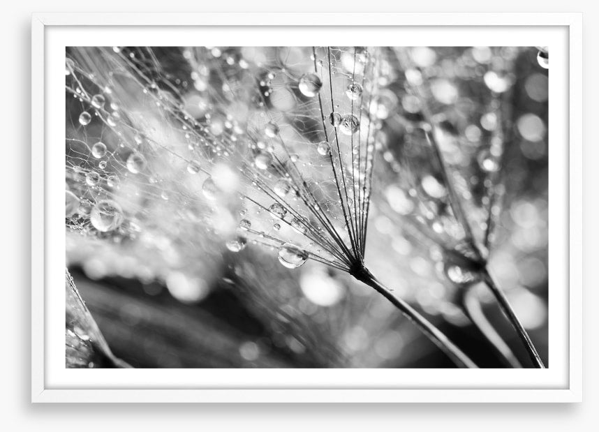 In the raindrops