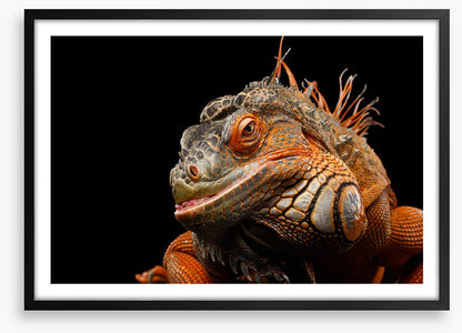 Reptiles