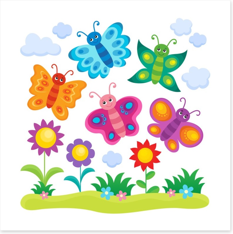 The butterfly garden