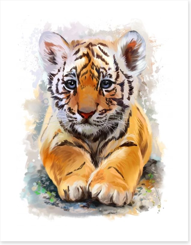 Little tiger