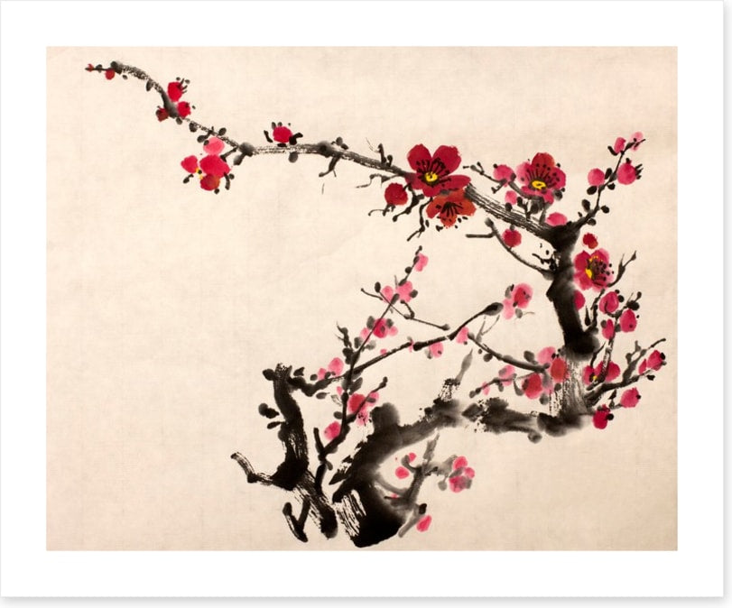 Red plum blossom