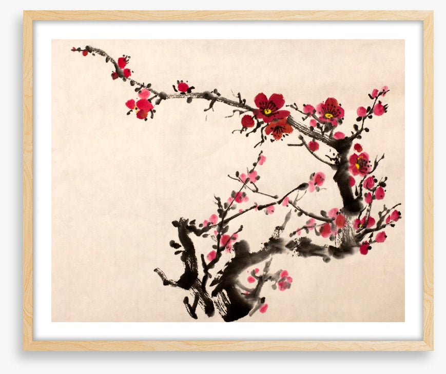 Red plum blossom
