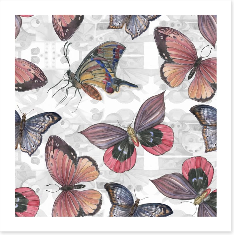 Butterflies